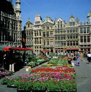 Grand Place, Brussels (Bruxelles), Belgium, Europe Grand Place, Brussels (Bruxelles), Belgium, Europe