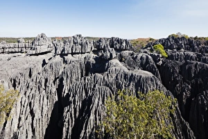 Grand Tsingy, Tsingy du Bemaraha National Park, UNESCO World Heritage Site, western area Grand Tsingy, Tsingy du Bemaraha National Park, UNESCO World Heritage Site, western area