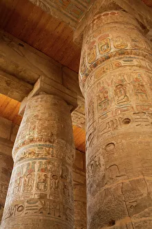 Egyptian Heritage Sites Prints: The Great Papyrus Columns, Hypostyle