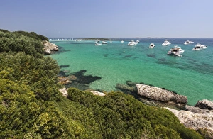 Green vegetation of the inland frames the speed boats moored in the crystal sea, Sperone Green vegetation of the inland frames the speed boats moored in the crystal sea, Sperone