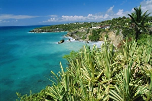 Caribbean Beach Destinations Prints: Guadeloupe