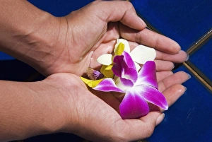 Southeast Asia Nature Images Prints: Hands and flowers