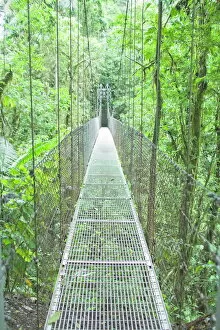 America Collection: Hanging bridge in rainforest, La Fortuna, Arenal, Costa Rica, Central America