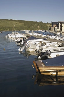 UK Coastal Villages Prints: The harbour, Salcombe, South Hams, Devon, England, United Kingdom, Europe