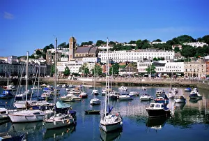 Prints of Harbour, Torquay, Devon, England, United Kingdom, Europe Devon Prints: Harbour Print, Torquay