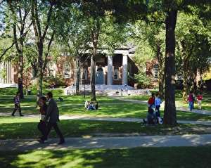 Harvard University Print, Boston Massachusetts USA