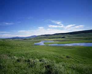 Contemporary Landscape Photography Prints: The Hayden Valley