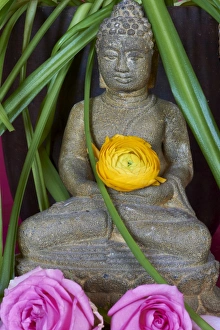 Head of Buddha statue, Bangkok, Thailand, Southeast Asia, Asia Head of Buddha statue, Bangkok, Thailand, Southeast Asia, Asia