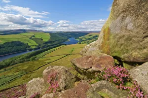 Heather moorland above Ladybower Reservoir, Whinstone Lee Tor, Derwent Edge Heather moorland above Ladybower Reservoir, Whinstone Lee Tor, Derwent Edge