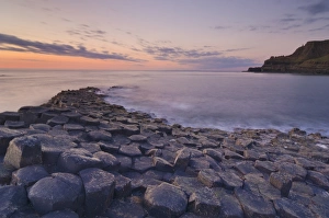 Images Dated 24th May 2008: Hexagonal Basalt Columns of the Giants Causeway Print