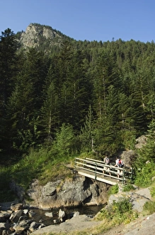 Hikers on bridge in hiking area of Pic de Coma Pedrosa, Parish of La Massana Hikers on bridge in hiking area of Pic de Coma Pedrosa, Parish of La Massana