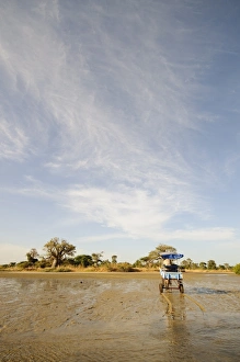 Horse and cart, Sine Saloum Delta, Senegal, West Africa, Africa Horse and cart, Sine Saloum Delta, Senegal, West Africa, Africa