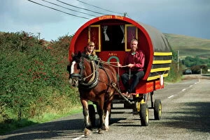 Horse Collection: Horse-drawn gypsy caravan
