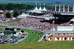 Horses racing and crowds, Goodwood Racecourse, West Sussex, England, United Kingdom Horses racing and crowds, Goodwood Racecourse, West Sussex, England, United Kingdom