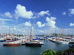 Howth Marina and Lighthouse Print
