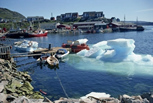 Iceberg Floating In Water Prints: Iceberg in the harbour