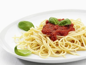 Spaghetti With Tomato Sauce Prints: Image 2834