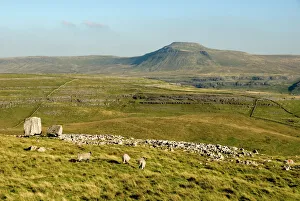 Ingleborough, seen beyond the Cheese Press Stone above Kingsdale, Yorkshire Dales, Yorkshire, England, United Kingdom Ingleborough, seen beyond the Cheese Press Stone above Kingsdale, Yorkshire Dales, Yorkshire, England, United Kingdom