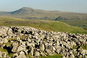Ingleborough, seen from limestone benches above Kingsdale, Yorkshire Dales, Yorkshire, England, United Kingdom, Europe Ingleborough, seen from limestone benches above Kingsdale, Yorkshire Dales, Yorkshire, England, United Kingdom, Europe