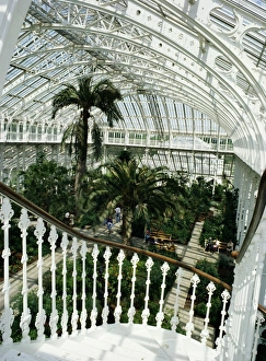 Interior of the Temperate House, restored in 1982, Kew Gardens, UNESCO World Heritage Site Interior of the Temperate House, restored in 1982, Kew Gardens, UNESCO World Heritage Site
