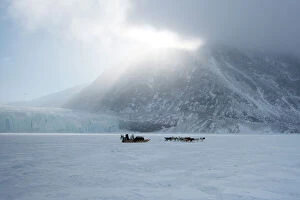 Images Dated 20th April 2015: Inuit hunter and his dog team travelling on the sea ice, Greenland, Denmark, Polar