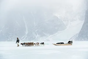 Inuit hunter walking his dog team on the sea ice in a snow storm, Greenland, Denmark Inuit hunter walking his dog team on the sea ice in a snow storm, Greenland, Denmark