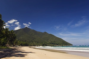 Philippine Travel Destinations Prints: Island beach