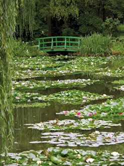 Japanese bridge and lily pond in the garden of the Impressionist painter Claude Monet Japanese bridge and lily pond in the garden of the Impressionist painter Claude Monet