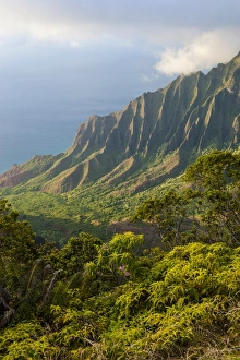 Kalalau lookout over the Napali coast from the Kokee State Park, Kauai, Hawaii, United States of America, Pacific Kalalau lookout over the Napali coast from the Kokee State Park, Kauai, Hawaii, United States of America, Pacific