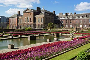 Kensington Palace gardens with tulips, Kensington Gardens, London, England, United Kingdom, Europe Kensington Palace gardens with tulips, Kensington Gardens, London, England, United Kingdom, Europe