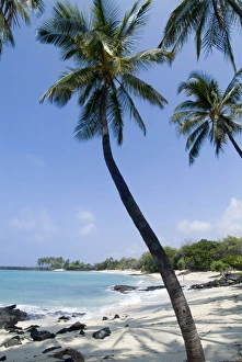 Tropical Coastline Photography Prints: Kona State Beach