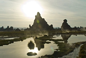 Lac Abbe (Lake Abhe Bad) with its chimneys, Republic of Djibouti, Africa Lac Abbe (Lake Abhe Bad) with its chimneys, Republic of Djibouti, Africa
