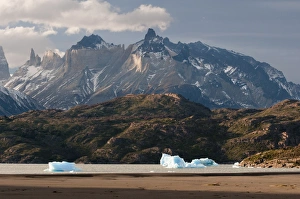 Lago Grey, Torres del Paine National Park, Patagonia, Chile, South America Lago Grey, Torres del Paine National Park, Patagonia, Chile, South America