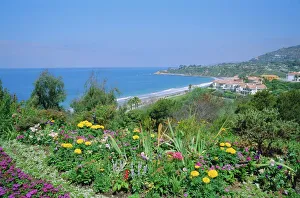 West Coast Travel Destinations Prints: Laguna Beach