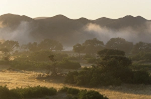 Landscape Photography In Africa Prints: Landscape Dry River