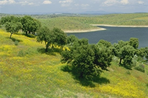Extremadura Landscape Prints: Landscape of fields