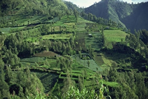 Indonesia Landscape Photography Prints: Landscape in Mount Bromo region, Java, Indonesia, Southeast Asia, Asia