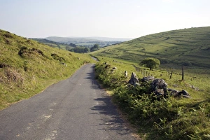 Nature Photography In England Prints: Lane, Challacombe, Dartmoor, Devon, England, United Kingdom, Europe