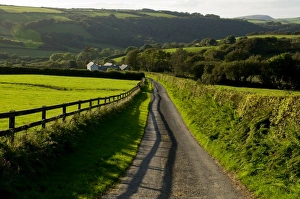 Lane, North Exmoor, Devon, England, United Kingdom, Europe Lane, North Exmoor, Devon, England, United Kingdom, Europe