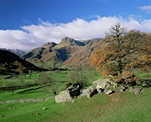 Cumbria Collection: Langdale Pikes from Great Langdale, Lake District National Park, Cumbria