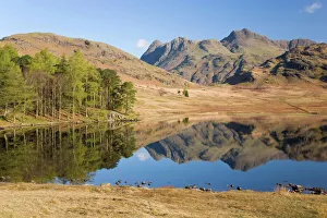 The Langdale Pikes reflected in Blea Tarn, above Little Langdale, Lake District National Park, Cumbria, England The Langdale Pikes reflected in Blea Tarn, above Little Langdale, Lake District National Park, Cumbria, England