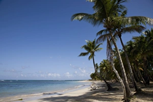 Prints of Las Terrenas, Samana Peninsula, Dominican Republic, West Indies, Caribbean, Central America Dominican Republic Prints: Las Terrenas, Dominican Republic Print: A Caribbean Gem