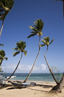 West Indies Ocean View Prints: Las Terrenas, Samana Peninsula, Dominican Republic, West Indies, Caribbean