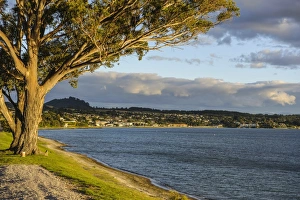 Late afternoon light at sunset over the shores of Lake Taupo, North Island, New Zealand, Pacific Late afternoon light at sunset over the shores of Lake Taupo, North Island, New Zealand, Pacific
