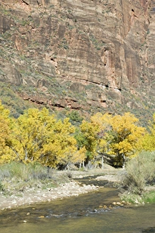 American Canyon Landscapes Prints: _LEF4853