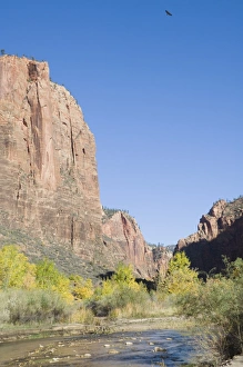 Sandstone Cliff Formation Prints: _LEF4854
