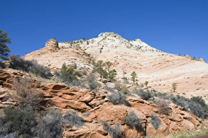 American Wilderness Prints: _LEF4873