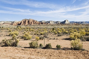 US National Parks Scenic Landscapes Prints: _LEF5172