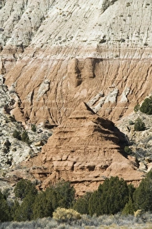 Natural World Scenic Views Prints: _LEF5203
