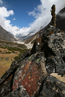 Lichen grows on an old Buddhist mani wall (prayer wall) constructed on the trail from Lukla to Tangnag, near Mera Peak Lichen grows on an old Buddhist mani wall (prayer wall) constructed on the trail from Lukla to Tangnag, near Mera Peak
